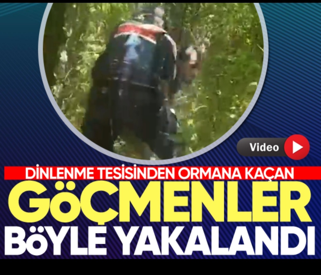 Ormana kaçan göçmenler yakalandı 