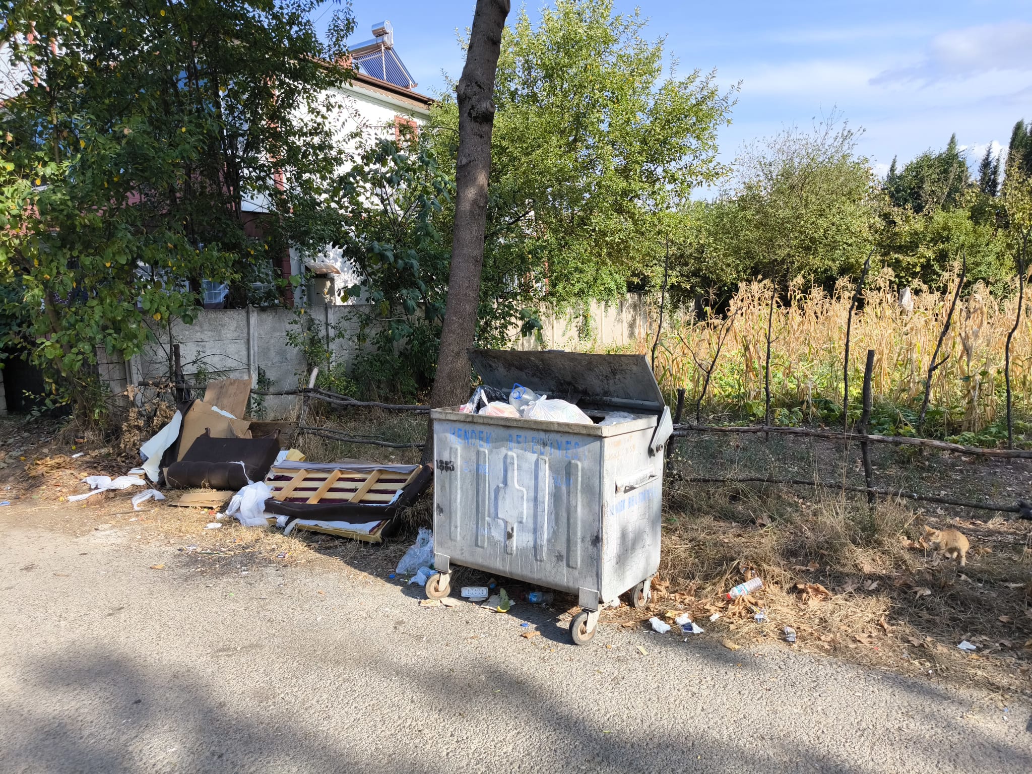 Rasimpaşa Mahallesi'nden Çöp şikayeti 