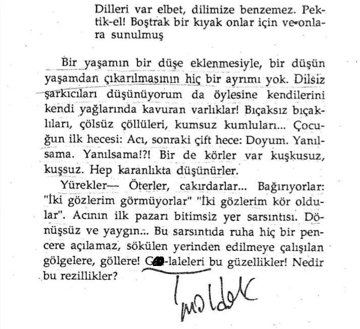 Makale: Ece Ayhan'ın dünyayla yaralı bir insan'ı - Galeri-2
