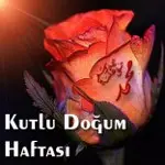 Haber: Hendek'te kutlu doğum haftasi etkinlikleri başliyor - Öne Çıkan