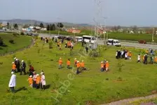 Haber: özel çocuklardan hatira ormani - Öne Çıkan