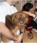 Haber: Kayip köpek tarçin - Öne Çıkan