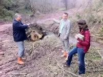Haber: Orman yolu programlari hendek'te tam gaz - Öne Çıkan