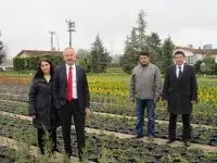 Haber: Müfettişlerden hendek fidanliğa ziyaret - Öne Çıkan