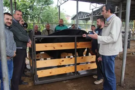 Haber: Kurbanliklara gebelik ve kilo kontrolü - Öne Çıkan