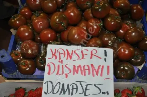 Haber: Kansere karşi kara domates - Öne Çıkan