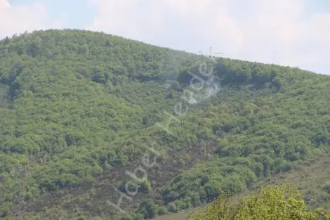 Haber: Hendek’te helikopter düştü ihbari asilsiz çikti - Öne Çıkan