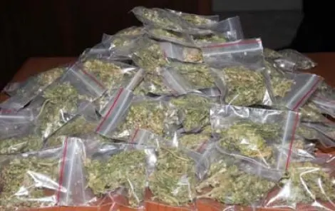 Haber: Jandarma 1 kg esrar ele geçirdi - Öne Çıkan