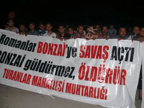 Hendek’te bonzai alarmi!