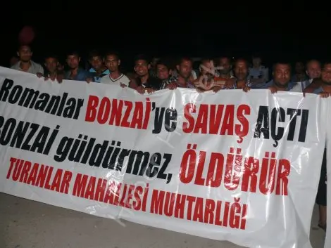 Haber: Hendek’te bonzai alarmi! - Öne Çıkan