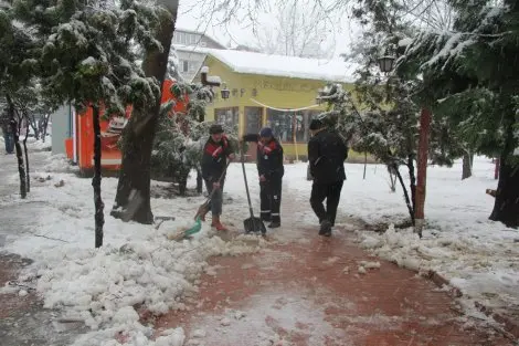 Haber: Hendek’te karla mücadele - Öne Çıkan