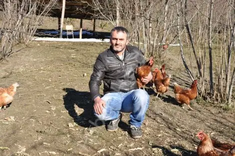 Araştirma yapti köy yumurtasi üretimine başladi