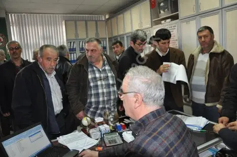 Haber: Hendek ziraat odasinda yoğunluk - Öne Çıkan