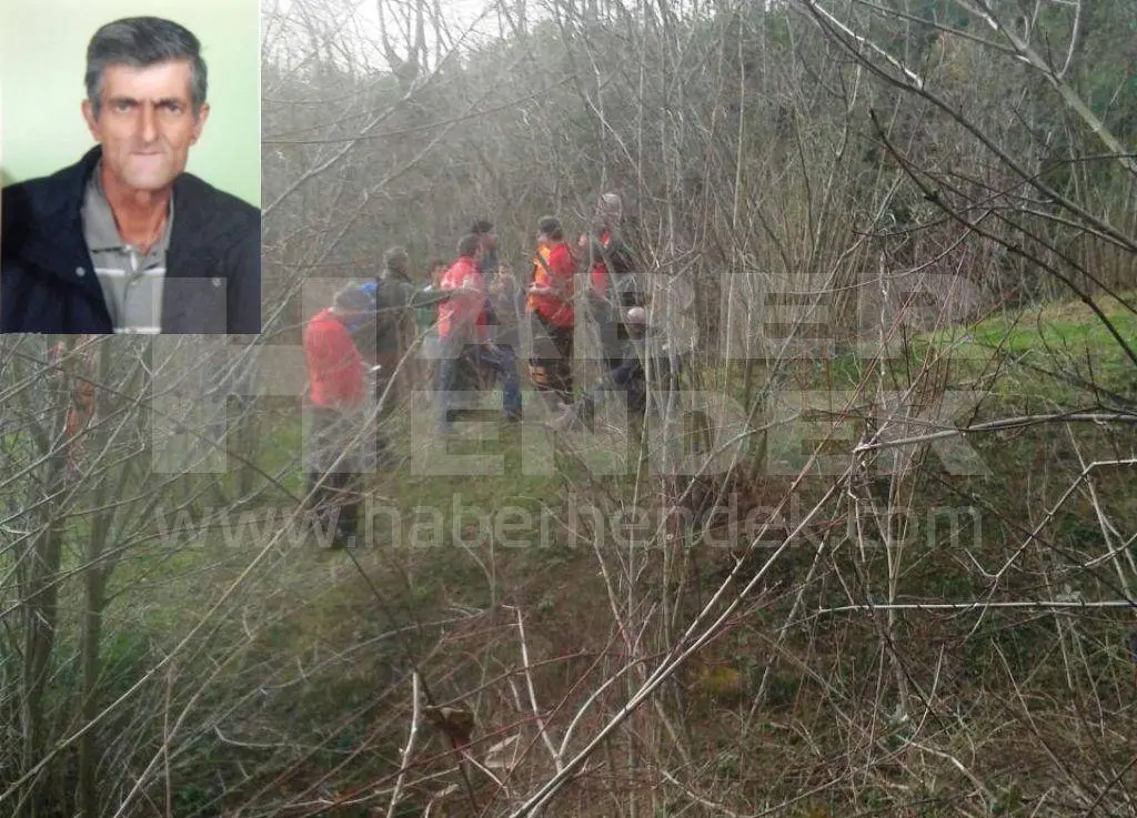Haber: Beş Gündür Kayıp Olan Şahıs Ormanda Ölü Bulundu - Galeri-1