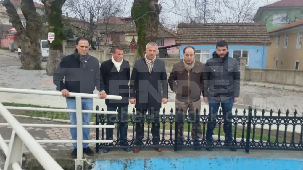 Haber: Uludere’de Balıklar yine ölmeye başladı - Galeri-2