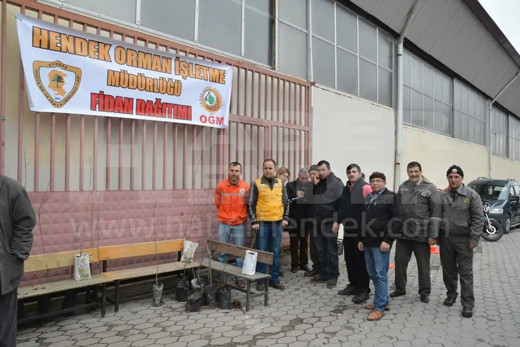 Haber: Orman Haftasında fidan dağıttılar - Öne Çıkan