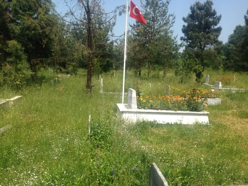 Haber: Hendek Aile Kabristanlığı temizlenmeyi bekliyor - Galeri-2