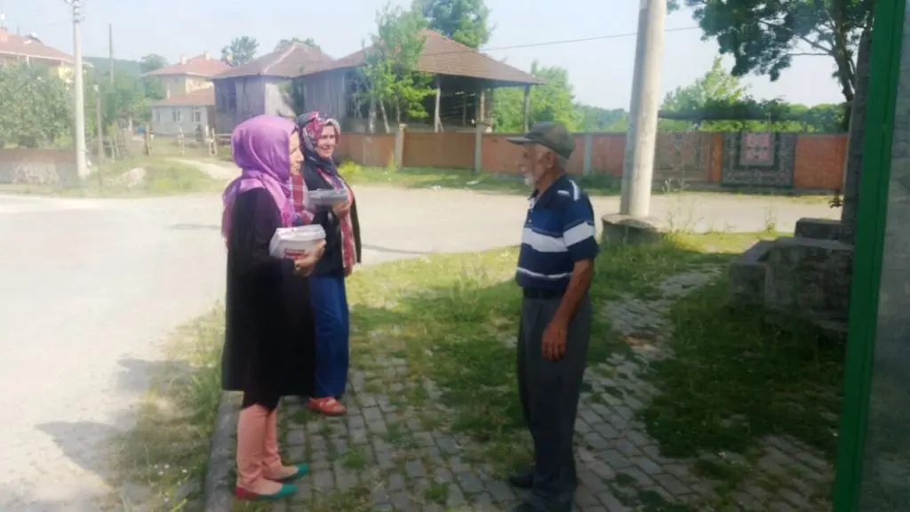 Haber: MHP Hendek Kadın Kolları  Kapı Kapı Dolaşıyor - Galeri-2