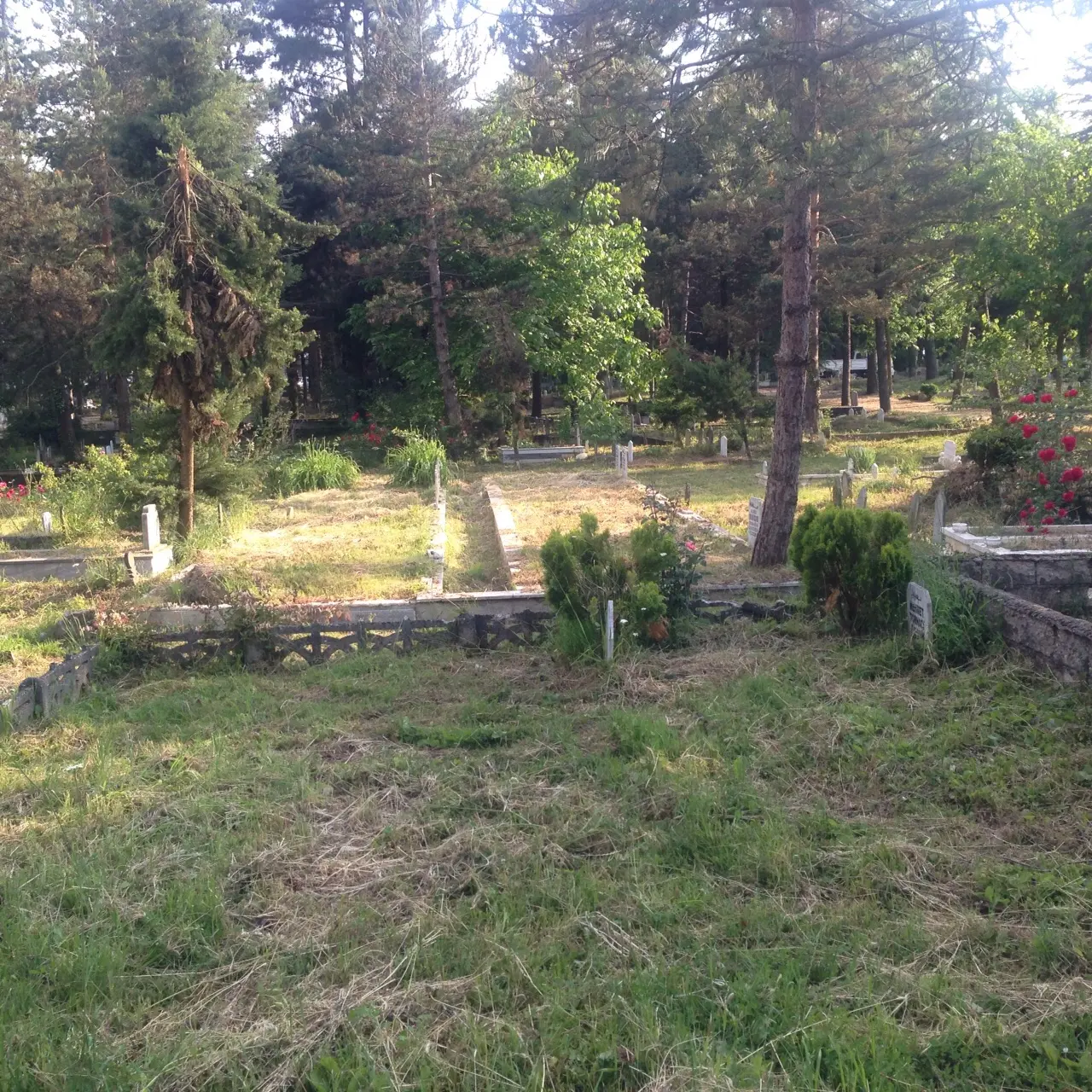 Haber: HABERİMİZ SES GETİRDİ, KABRİSTANLIK TEMİZLENDİ - Öne Çıkan