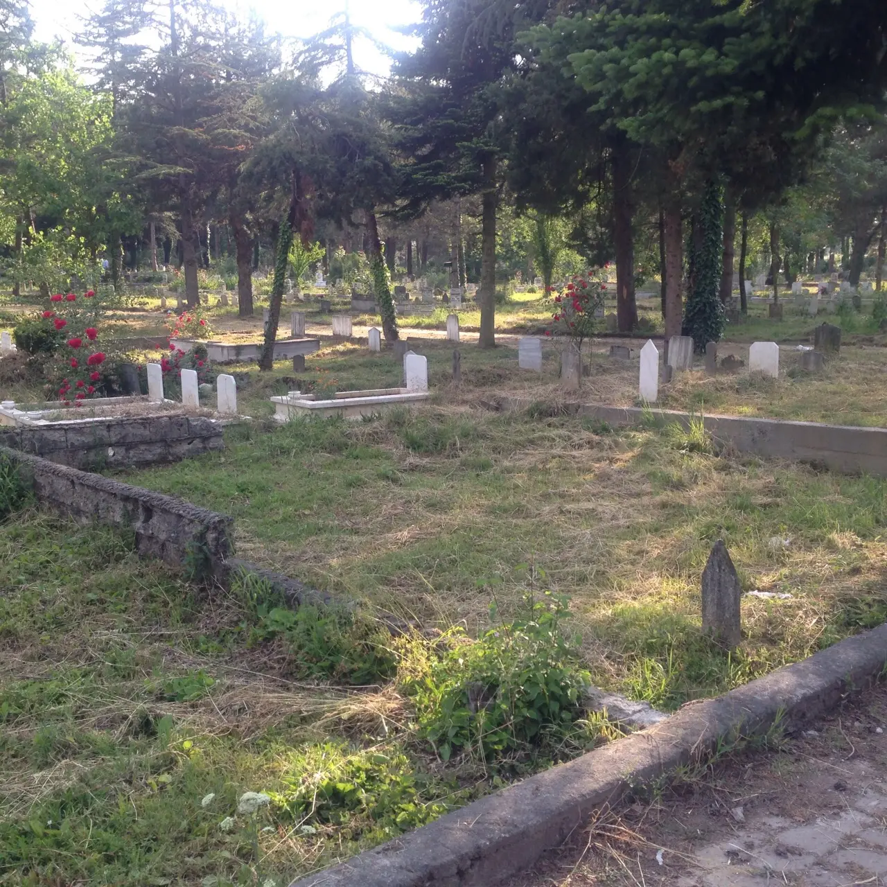 Haber: HABERİMİZ SES GETİRDİ, KABRİSTANLIK TEMİZLENDİ - Galeri-2
