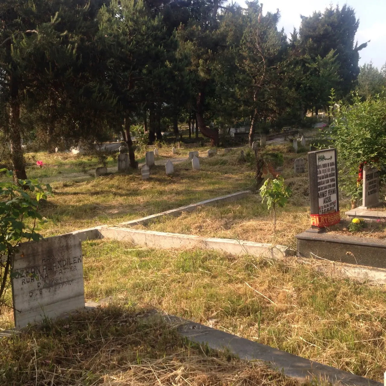 Haber: HABERİMİZ SES GETİRDİ, KABRİSTANLIK TEMİZLENDİ - Galeri-3