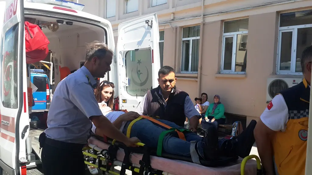 Haber: TEM'de panelvan kamyona çarptı: 5 yaralı - Öne Çıkan