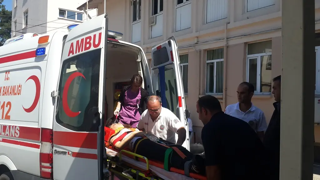 Haber: TEM'de panelvan kamyona çarptı: 5 yaralı - Galeri-1