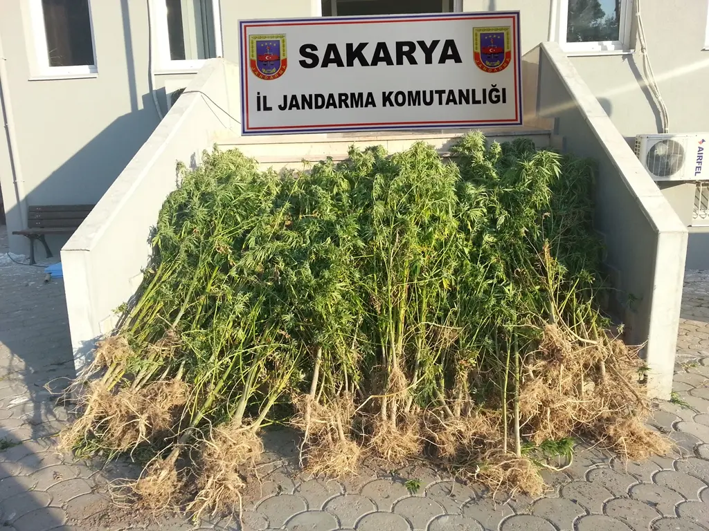 Haber: Jandarma’dan Uyuşturucuya geçit yok - Öne Çıkan