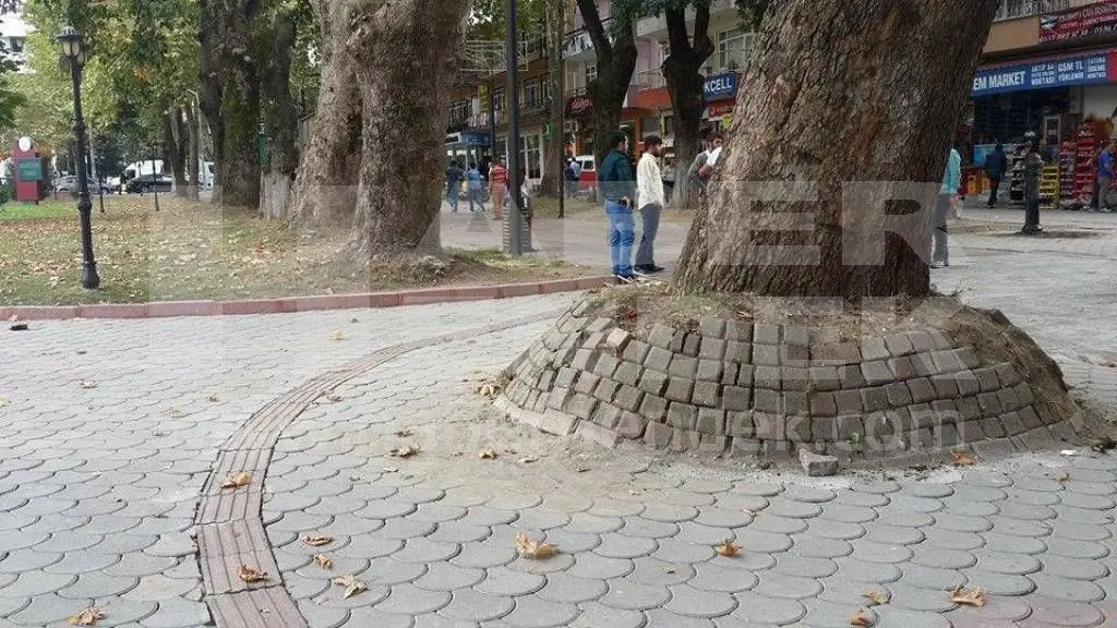 Haber: Şaka değil gerçek… - Galeri-2