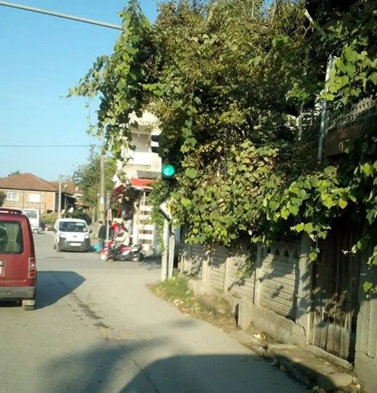 Haber: Sürücüler Ağaçların kapattığı Trafik ışıklarının Temizlenmesini istiyor - Galeri-1