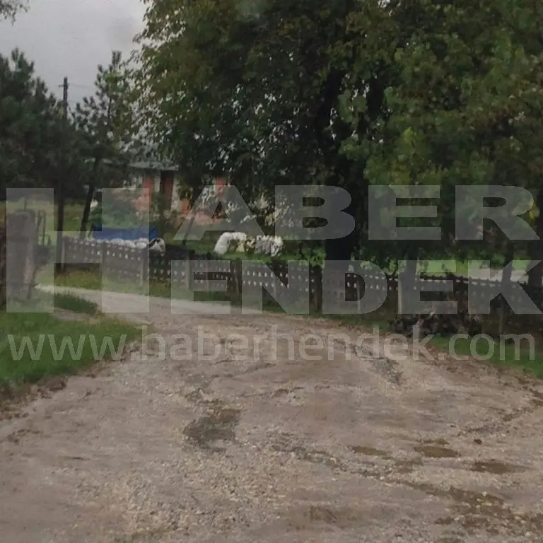 Haber: Sarıyer Mahalle sakinleri yolların yapılmasını istiyor - Galeri-1