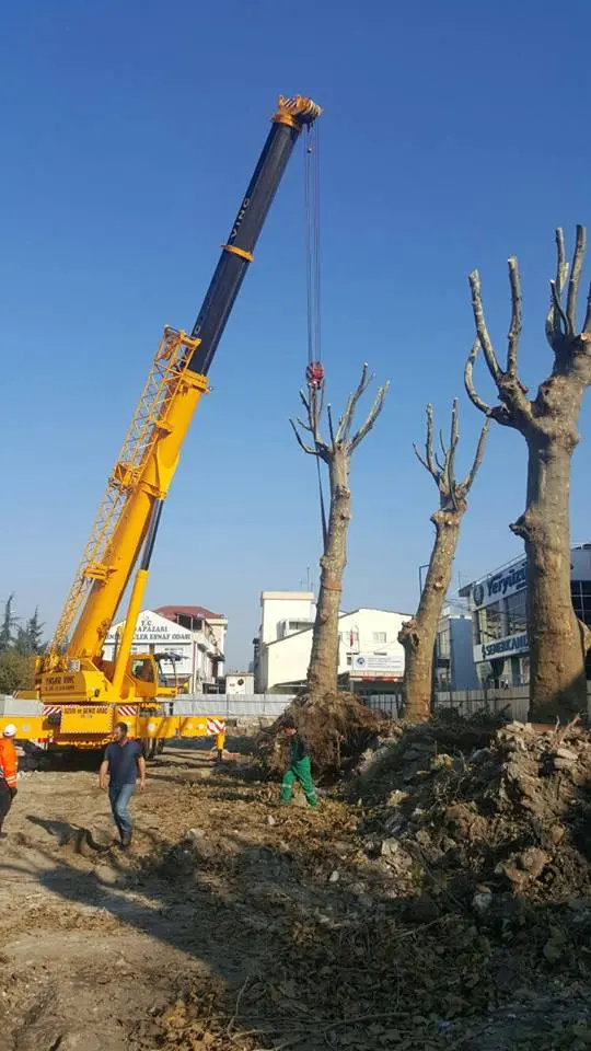 Haber: Büyükşehir doğaya her zaman ki gibi duyarlı davrandı - Galeri-3