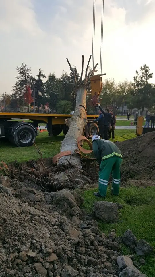 Haber: Büyükşehir doğaya her zaman ki gibi duyarlı davrandı - Galeri-2