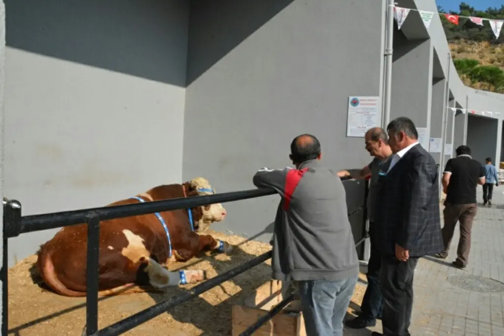 Haber: Süt Birlik Başkanları 3. Ulusal Süt zirvesin de bir araya geldi - Galeri-4