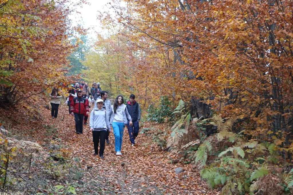Haber: Doğaseverler Dikmen’i Çok Sevdi - Galeri-1