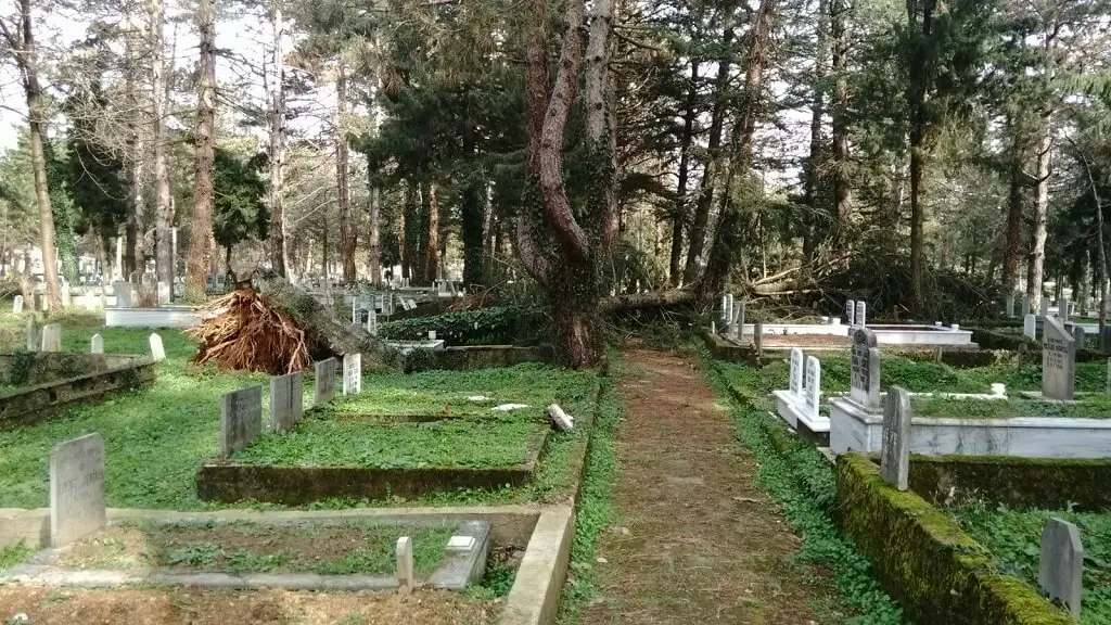 Haber: Hendek Kabristanlığı Allah'a Emanet - Galeri-2