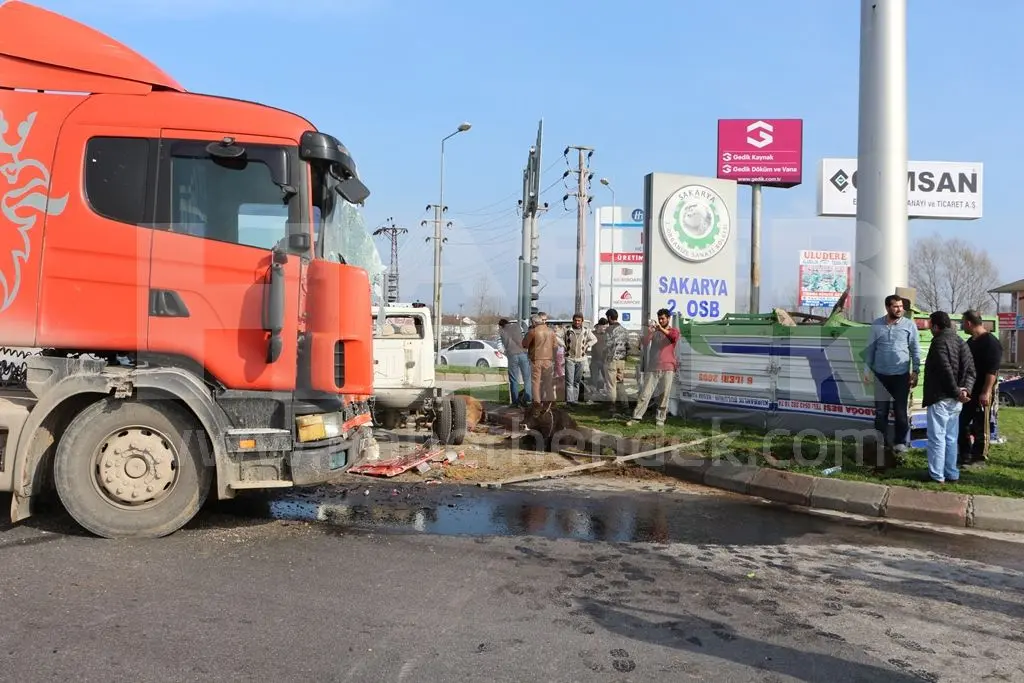Haber: Trafik Kazasında Büyükbaş Hayvanlar Telef Oldu - Galeri-3