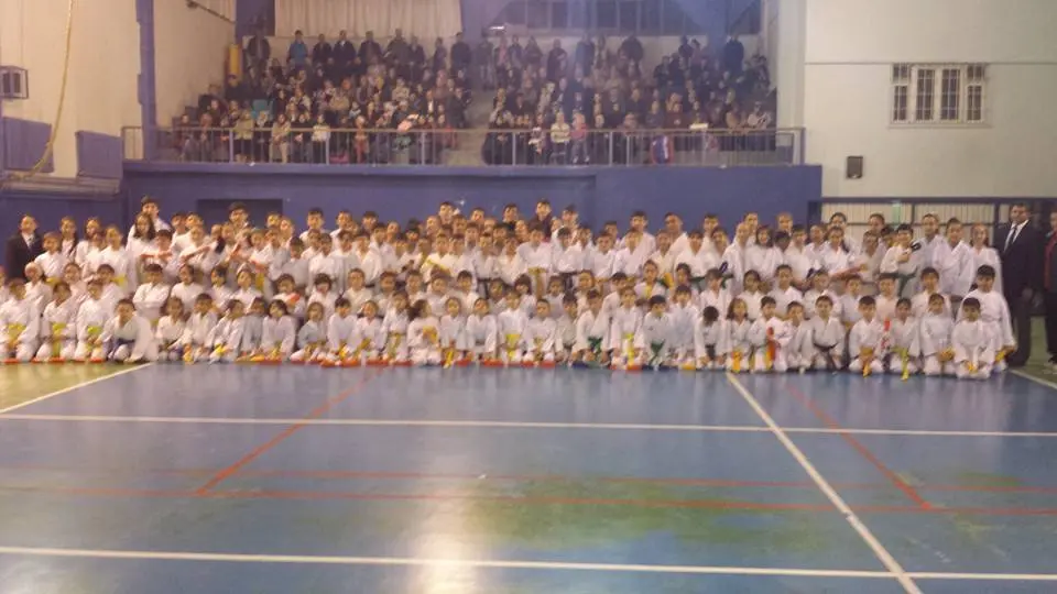 Haber: Hendek Belediyesi Karate Takımı Terfi Etti - Galeri-6