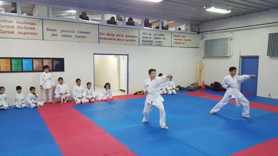 Haber: Hendek Belediyesi Karate Takımı Terfi Etti - Galeri-2