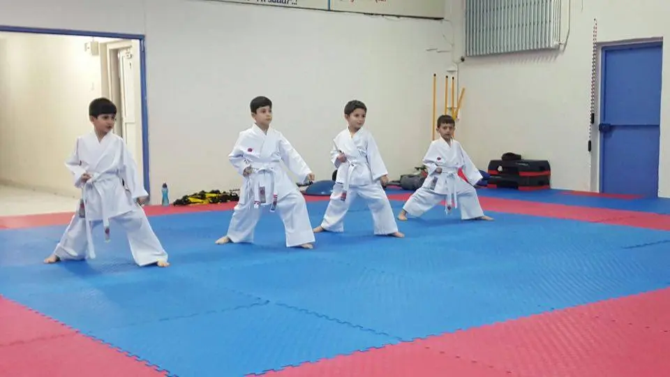 Haber: Hendek Belediyesi Karate Takımı Terfi Etti - Galeri-1