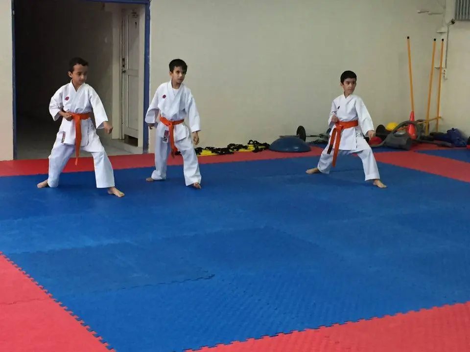 Haber: Hendek Belediyesi Karate Takımı Terfi Etti - Galeri-4
