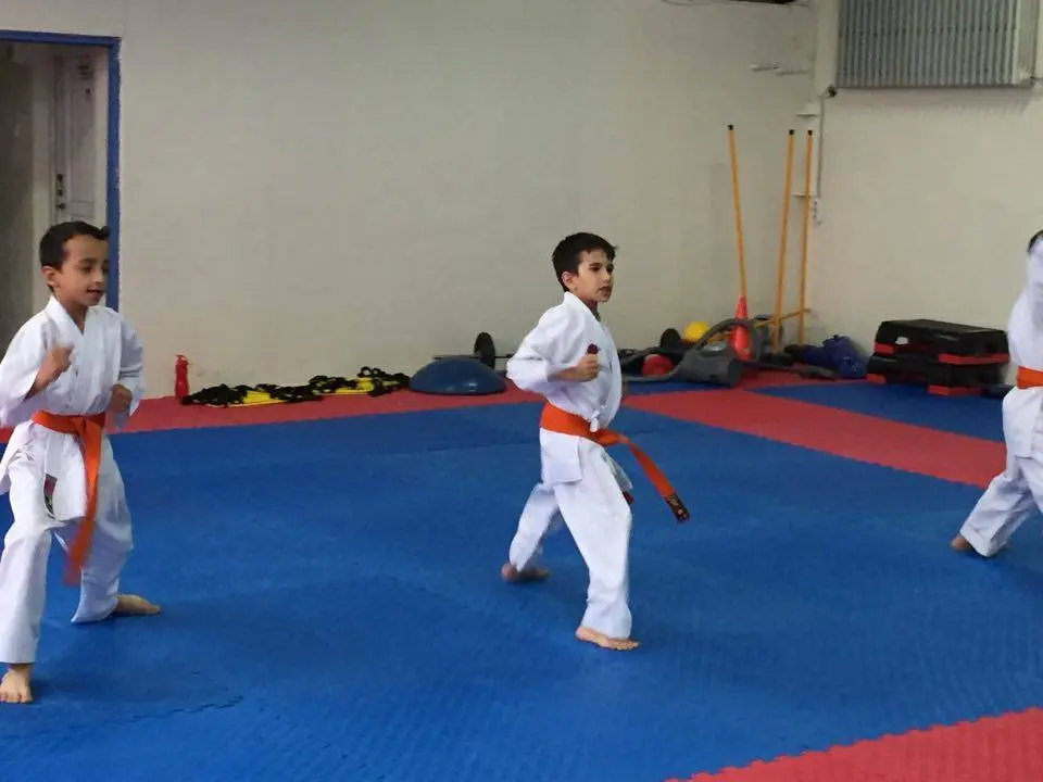 Haber: Hendek Belediyesi Karate Takımı Terfi Etti - Galeri-3