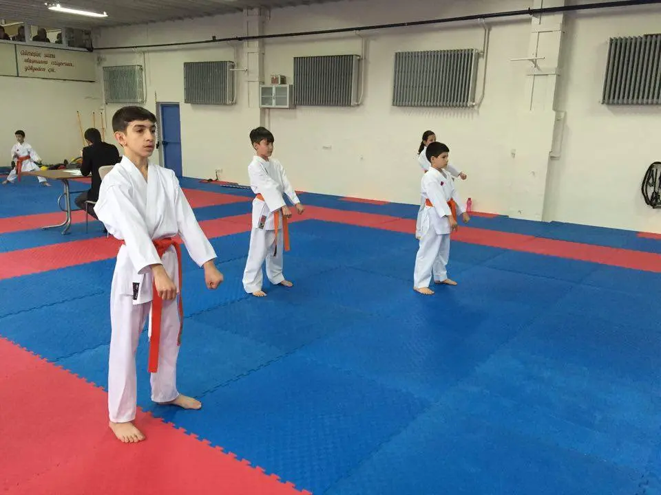 Haber: Hendek Belediyesi Karate Takımı Terfi Etti - Galeri-5