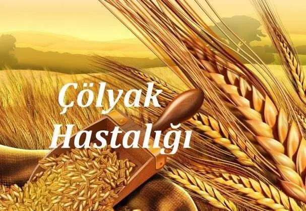 Haber: ÇÖLYAK HASTALIĞI - Öne Çıkan