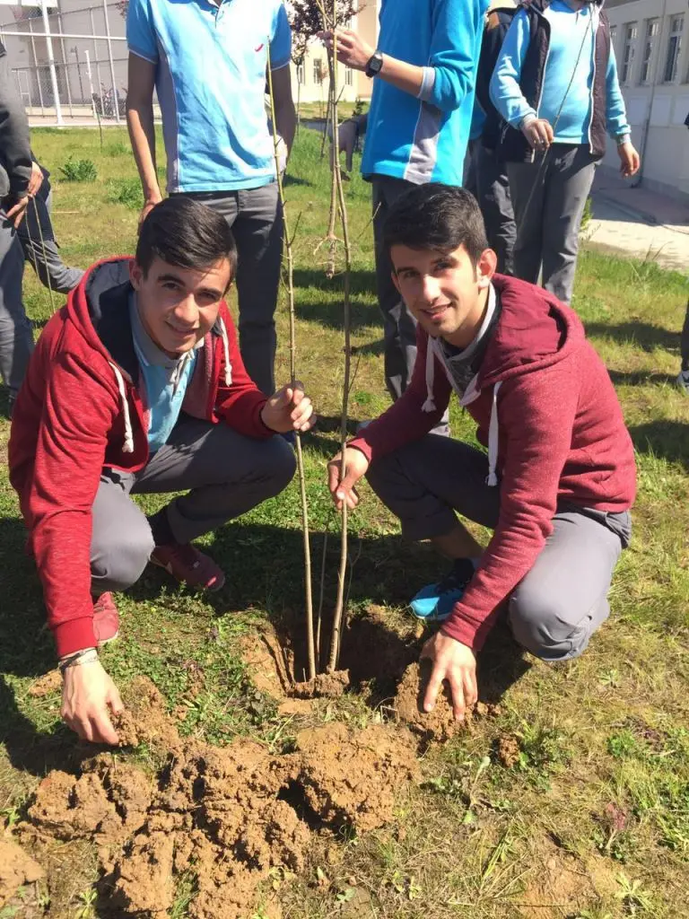 Haber: Hendek Mesleki Ve Teknik Anadolu Lisesi’nde Ağaç Dikme Seferberliği - Galeri-1