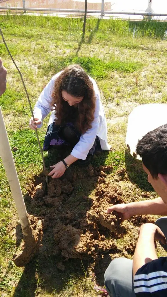 Haber: Hendek Mesleki Ve Teknik Anadolu Lisesi’nde Ağaç Dikme Seferberliği - Galeri-4