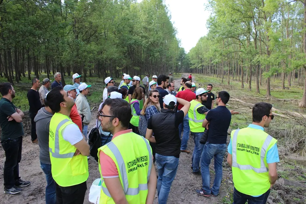 Haber: Orman Mühendisliği Öğrencileri Hendek’te - Galeri-6