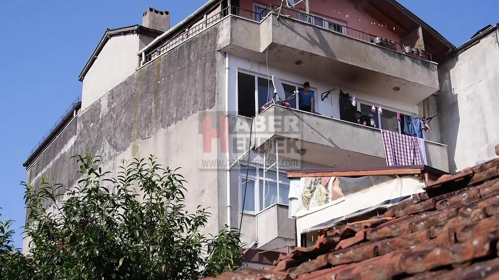 Haber: Hendek Başpınar mahallesi Selvidibi sokakta yangın - Galeri-3