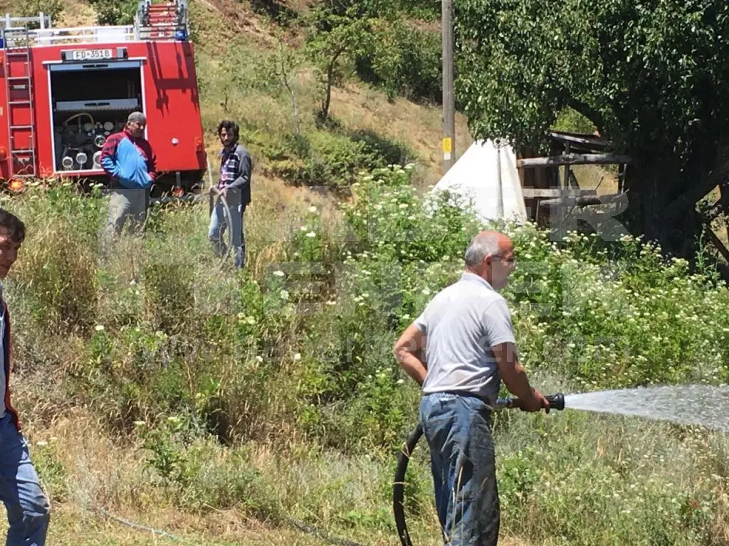 Haber: Fındık Bahçesi Kül Oldu - Öne Çıkan