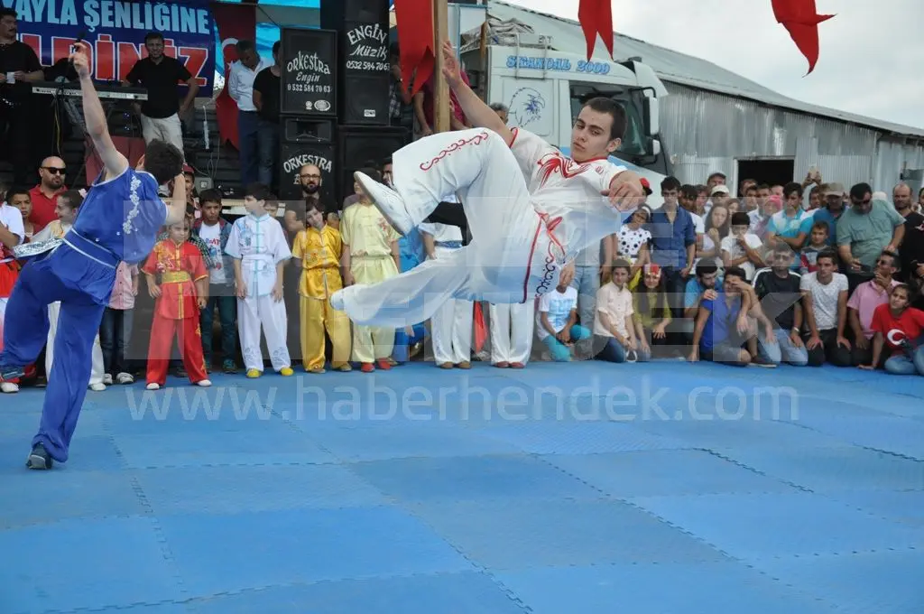 Haber: Türkiye Wushu Milli Takımı Zirvede - Galeri-2